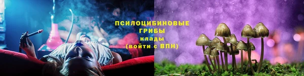 ПСИЛОЦИБИНОВЫЕ ГРИБЫ Чегем