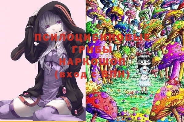 apvp Балахна