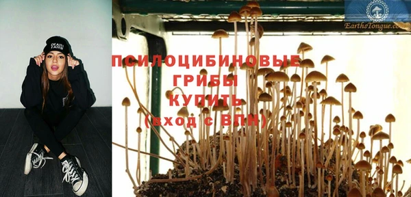 apvp Балахна