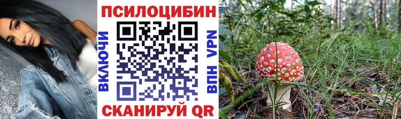где найти наркотики  Новохопёрск  Галлюциногенные грибы GOLDEN TEACHER 